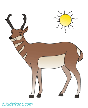 Cute Antelope Coloring Pages